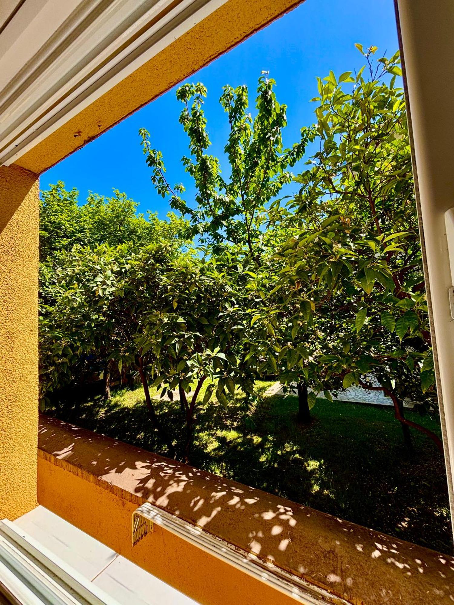 Apartments Ds Club Budva Extérieur photo